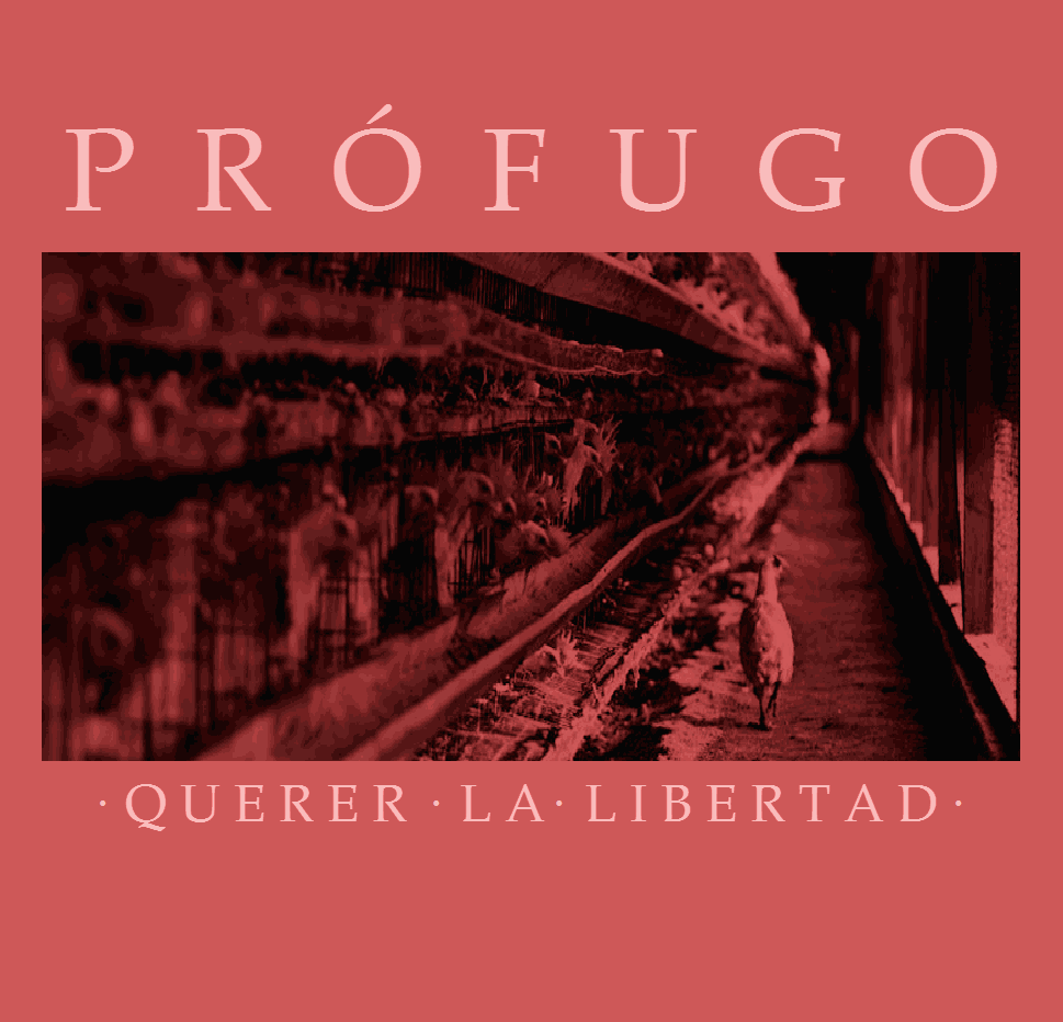 Prófugo - Querer la libertad - cover